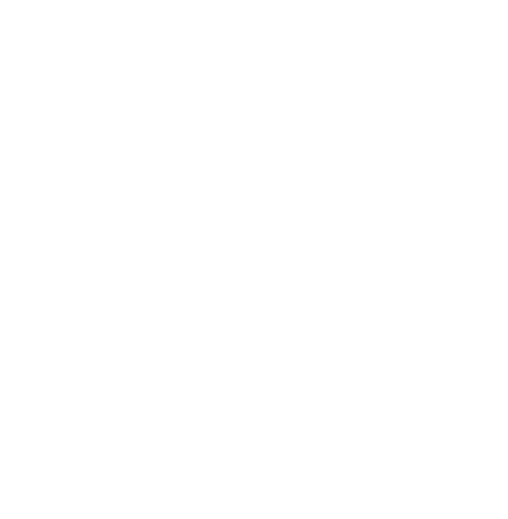 VELOX logo